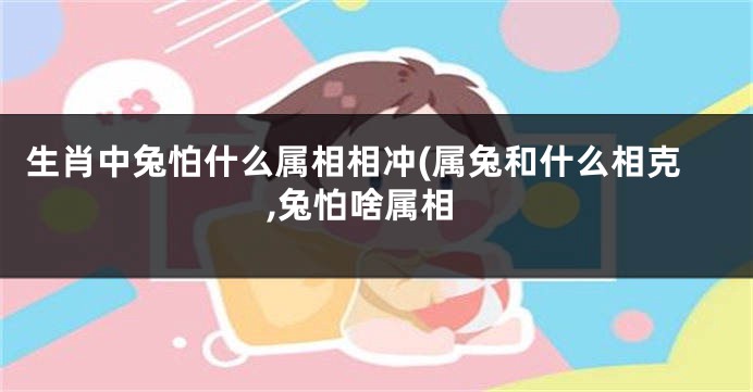 生肖中兔怕什么属相相冲(属兔和什么相克,兔怕啥属相