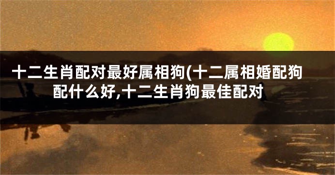十二生肖配对最好属相狗(十二属相婚配狗配什么好,十二生肖狗最佳配对