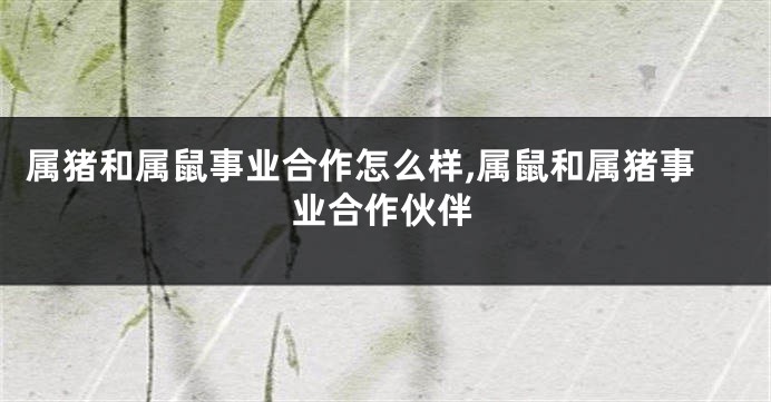 属猪和属鼠事业合作怎么样,属鼠和属猪事业合作伙伴