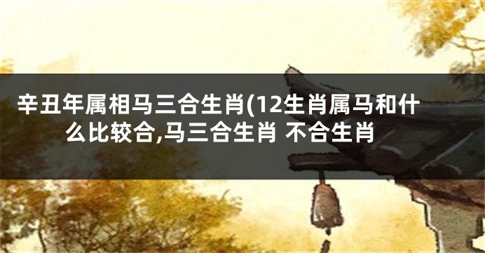 辛丑年属相马三合生肖(12生肖属马和什么比较合,马三合生肖 不合生肖