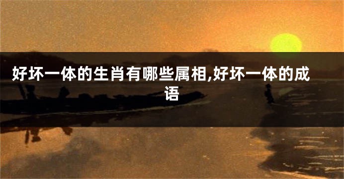 好坏一体的生肖有哪些属相,好坏一体的成语