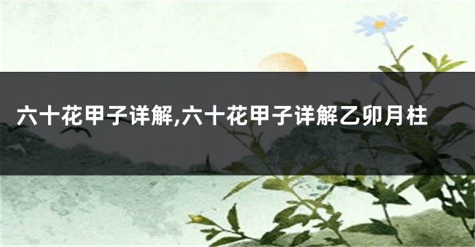 六十花甲子详解,六十花甲子详解乙卯月柱