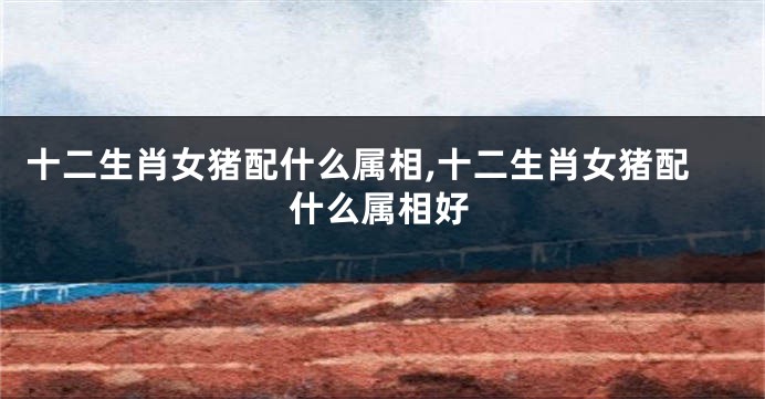 十二生肖女猪配什么属相,十二生肖女猪配什么属相好