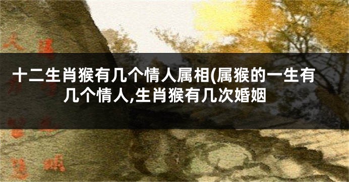 十二生肖猴有几个情人属相(属猴的一生有几个情人,生肖猴有几次婚姻