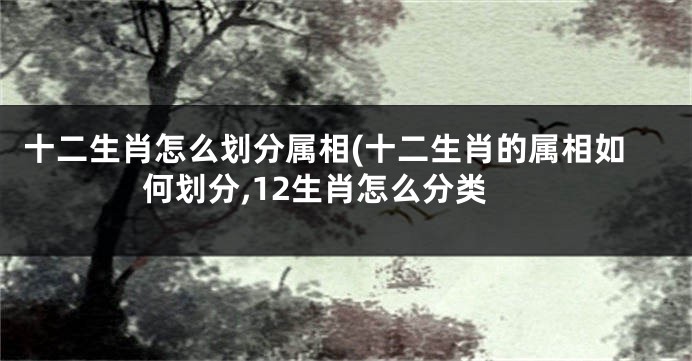 十二生肖怎么划分属相(十二生肖的属相如何划分,12生肖怎么分类