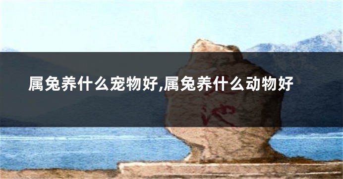 属兔养什么宠物好,属兔养什么动物好