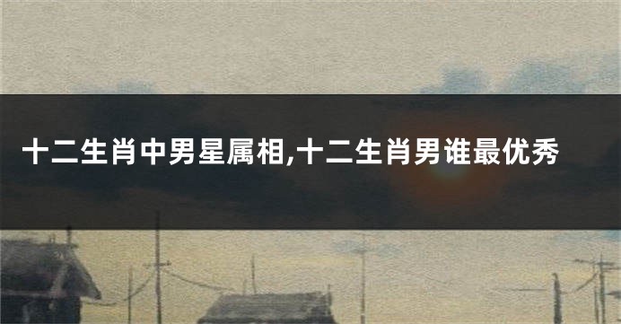 十二生肖中男星属相,十二生肖男谁最优秀