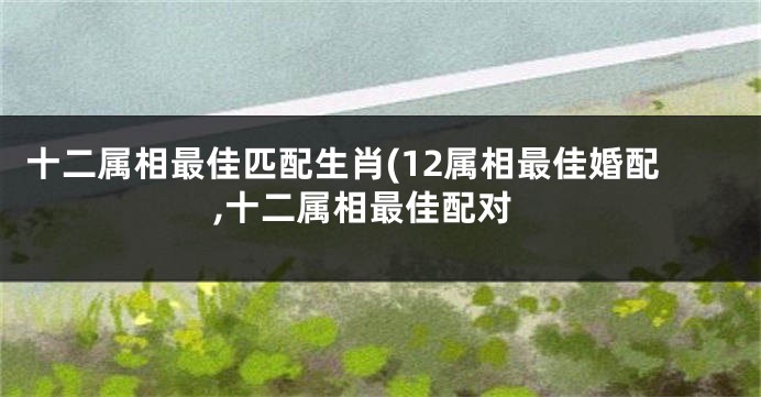 十二属相最佳匹配生肖(12属相最佳婚配,十二属相最佳配对