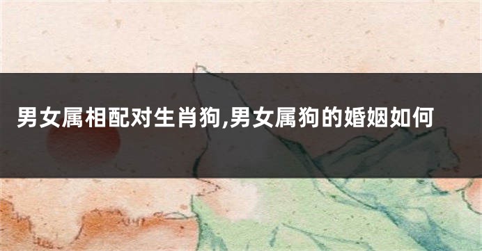 男女属相配对生肖狗,男女属狗的婚姻如何