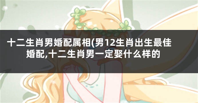 十二生肖男婚配属相(男12生肖出生最佳婚配,十二生肖男一定娶什么样的