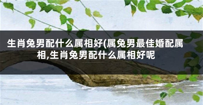 生肖兔男配什么属相好(属兔男最佳婚配属相,生肖兔男配什么属相好呢