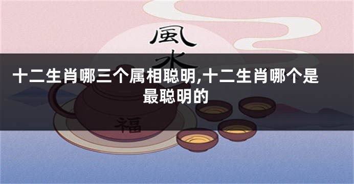 十二生肖哪三个属相聪明,十二生肖哪个是最聪明的