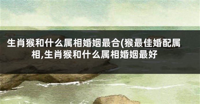 生肖猴和什么属相婚姻最合(猴最佳婚配属相,生肖猴和什么属相婚姻最好