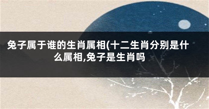 兔子属于谁的生肖属相(十二生肖分别是什么属相,兔子是生肖吗