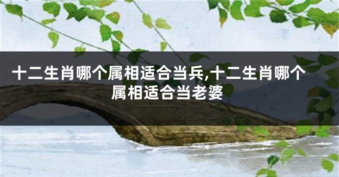 十二生肖哪个属相适合当兵,十二生肖哪个属相适合当老婆
