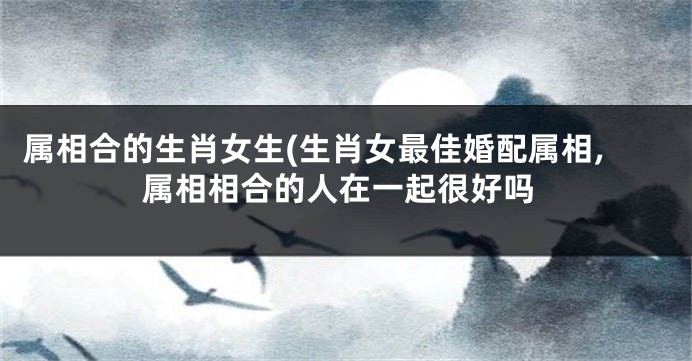 属相合的生肖女生(生肖女最佳婚配属相,属相相合的人在一起很好吗