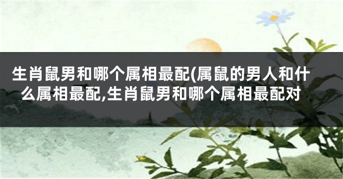 生肖鼠男和哪个属相最配(属鼠的男人和什么属相最配,生肖鼠男和哪个属相最配对