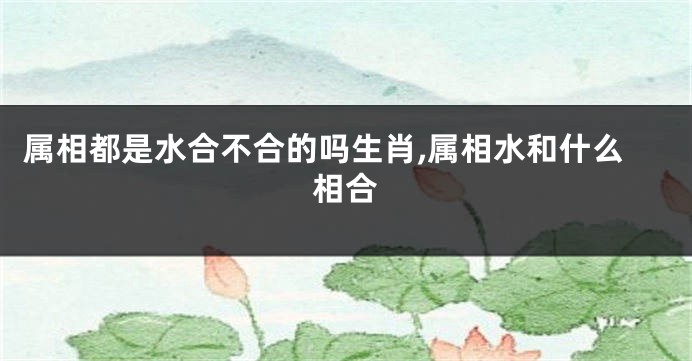 属相都是水合不合的吗生肖,属相水和什么相合