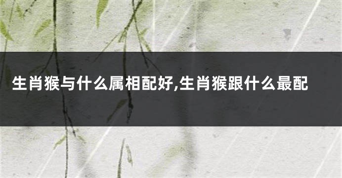 生肖猴与什么属相配好,生肖猴跟什么最配