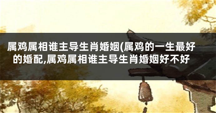 属鸡属相谁主导生肖婚姻(属鸡的一生最好的婚配,属鸡属相谁主导生肖婚姻好不好