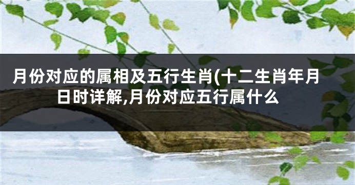 月份对应的属相及五行生肖(十二生肖年月日时详解,月份对应五行属什么