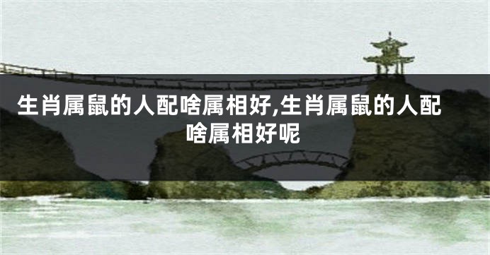 生肖属鼠的人配啥属相好,生肖属鼠的人配啥属相好呢