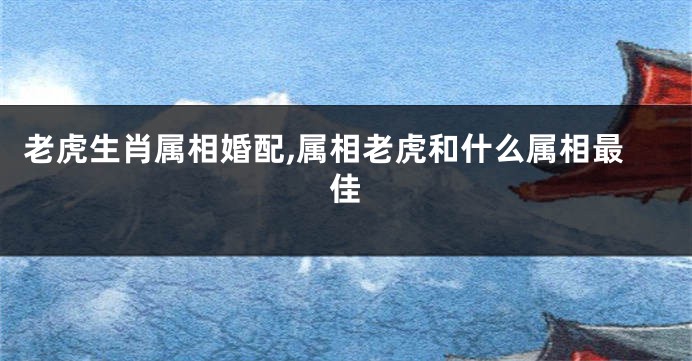 老虎生肖属相婚配,属相老虎和什么属相最佳