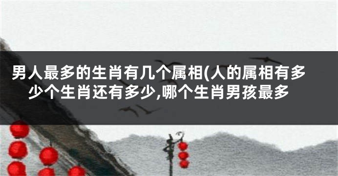 男人最多的生肖有几个属相(人的属相有多少个生肖还有多少,哪个生肖男孩最多