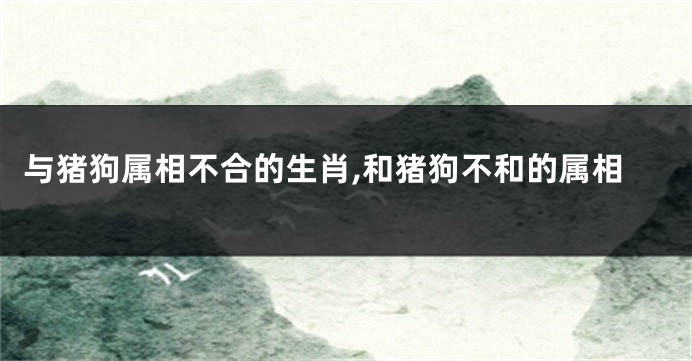 与猪狗属相不合的生肖,和猪狗不和的属相