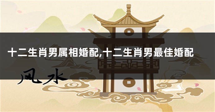 十二生肖男属相婚配,十二生肖男最佳婚配