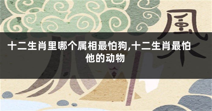 十二生肖里哪个属相最怕狗,十二生肖最怕他的动物