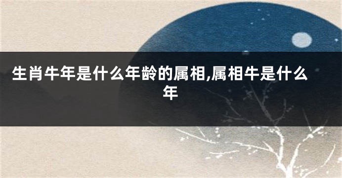 生肖牛年是什么年龄的属相,属相牛是什么年