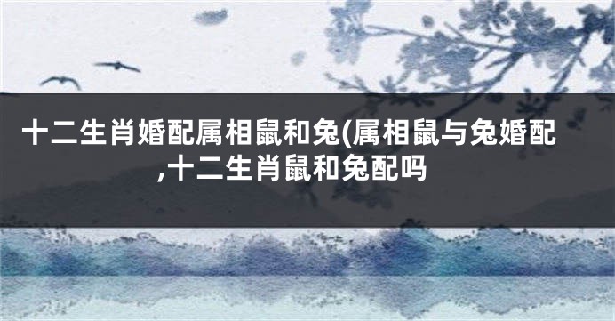 十二生肖婚配属相鼠和兔(属相鼠与兔婚配,十二生肖鼠和兔配吗