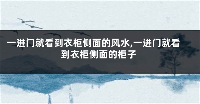 一进门就看到衣柜侧面的风水,一进门就看到衣柜侧面的柜子