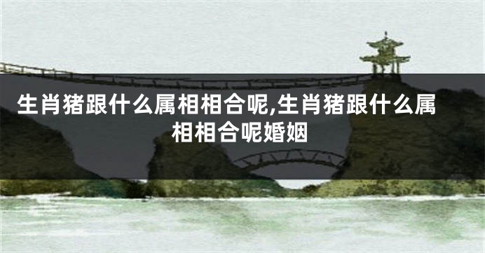 生肖猪跟什么属相相合呢,生肖猪跟什么属相相合呢婚姻