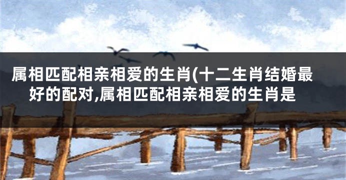 属相匹配相亲相爱的生肖(十二生肖结婚最好的配对,属相匹配相亲相爱的生肖是