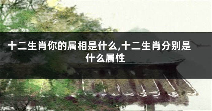 十二生肖你的属相是什么,十二生肖分别是什么属性