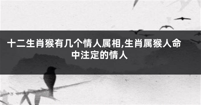 十二生肖猴有几个情人属相,生肖属猴人命中注定的情人
