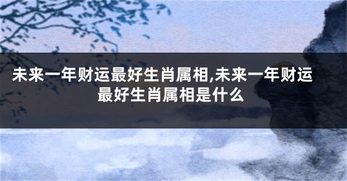 未来一年财运最好生肖属相,未来一年财运最好生肖属相是什么