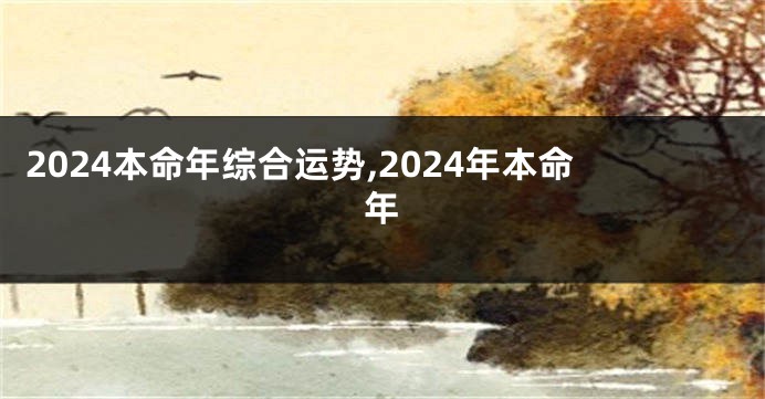 2024本命年综合运势,2024年本命年