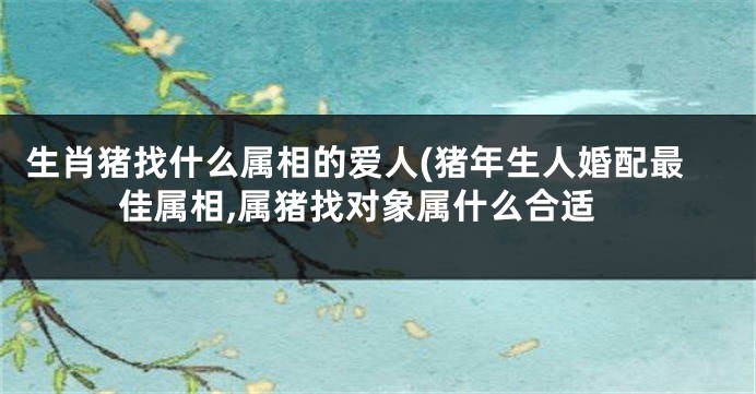 生肖猪找什么属相的爱人(猪年生人婚配最佳属相,属猪找对象属什么合适