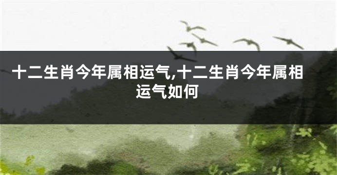十二生肖今年属相运气,十二生肖今年属相运气如何