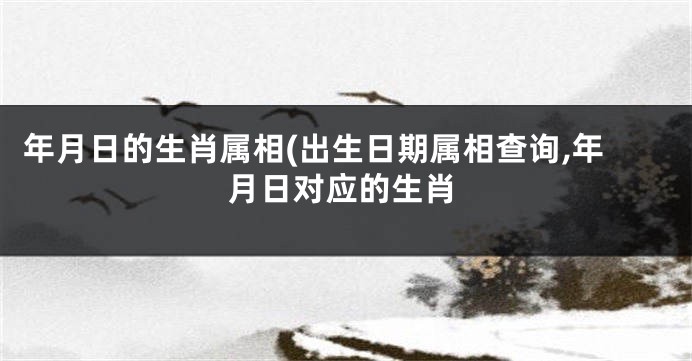 年月日的生肖属相(出生日期属相查询,年月日对应的生肖