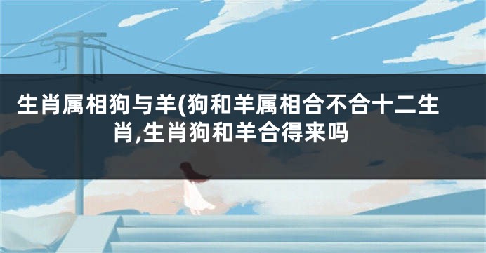 生肖属相狗与羊(狗和羊属相合不合十二生肖,生肖狗和羊合得来吗