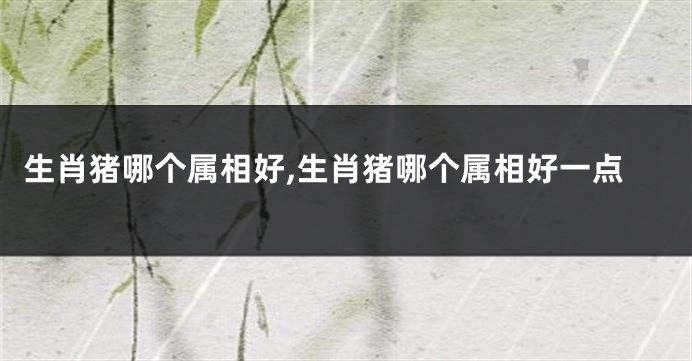 生肖猪哪个属相好,生肖猪哪个属相好一点