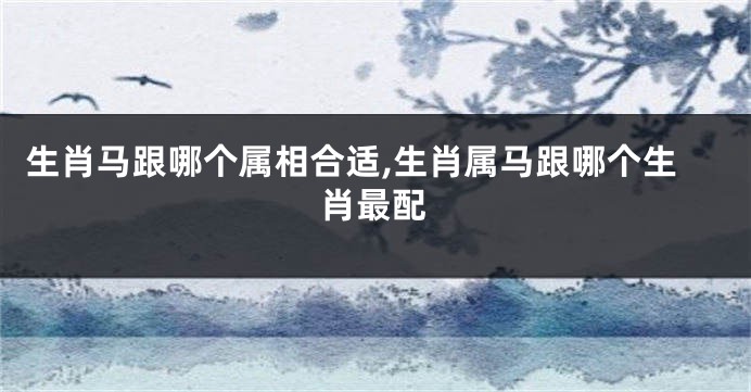 生肖马跟哪个属相合适,生肖属马跟哪个生肖最配