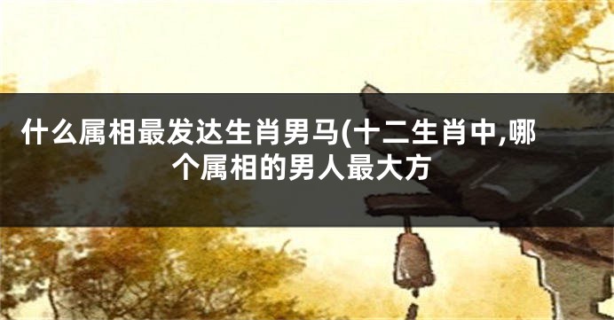 什么属相最发达生肖男马(十二生肖中,哪个属相的男人最大方
