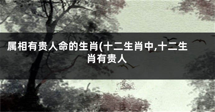 属相有贵人命的生肖(十二生肖中,十二生肖有贵人