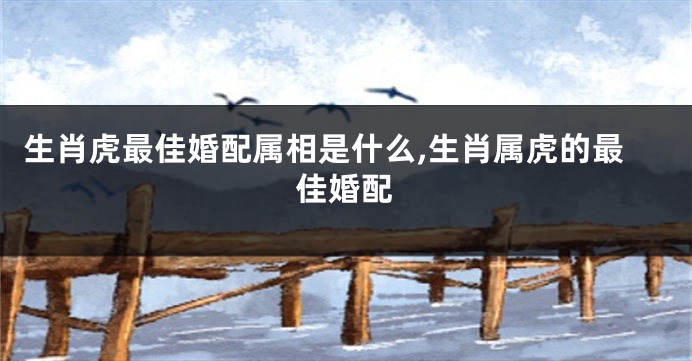 生肖虎最佳婚配属相是什么,生肖属虎的最佳婚配