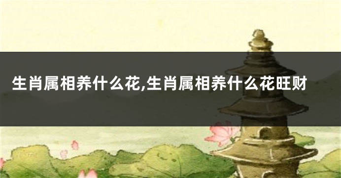 生肖属相养什么花,生肖属相养什么花旺财